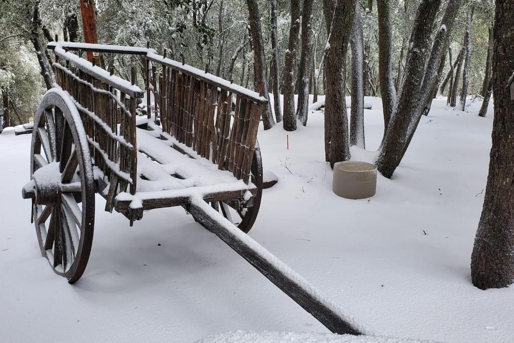 Pine Hills Cabin In 줄리안 외부 사진